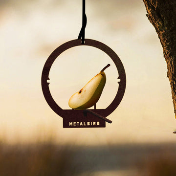 Hanging Bird Feeder